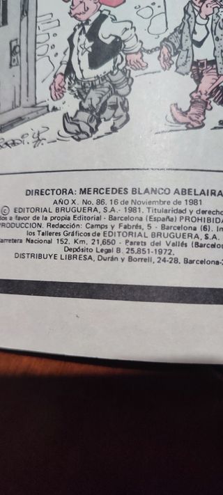 LOTE DE TRES TEBEOS DE ZIPI ZAPE