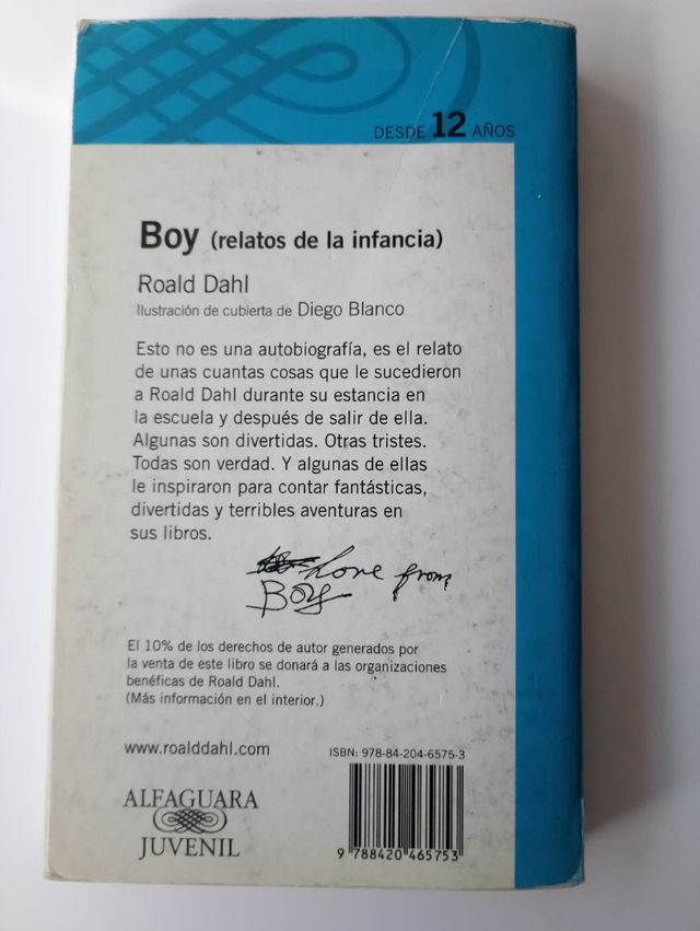 Boy relatos de infancia