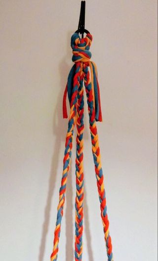 Cesta para plantas colgantes, crasulas, suculentas