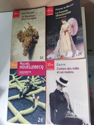 Libros cortitos francés