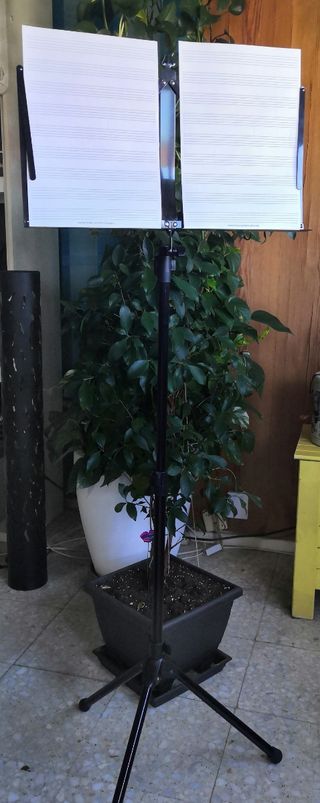 Guitarra Clifton4 Brown concierto+Regalo