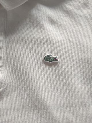 Polo Lacoste 