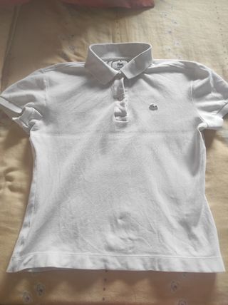 Polo Lacoste 