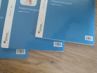 Libros Santillana de 4t de primària