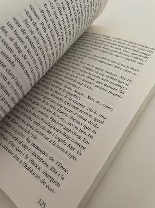 La finestra del temps (Virginia Zimmerman)