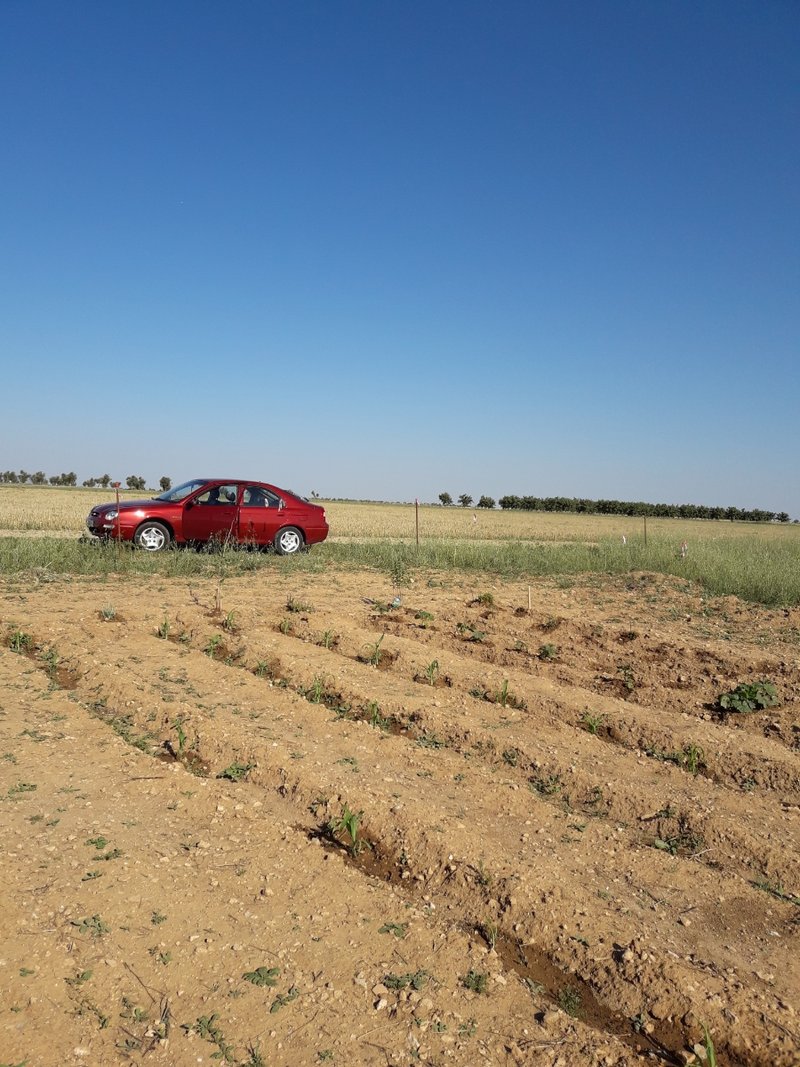 KIA Shuma 1999 - foto 1