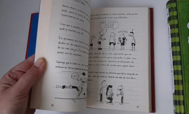 Lote Diario de Greg 1 y 3