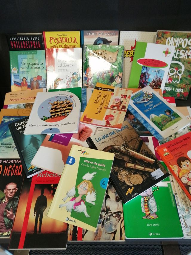 LIBROS DE LECTURA (VARIOS)