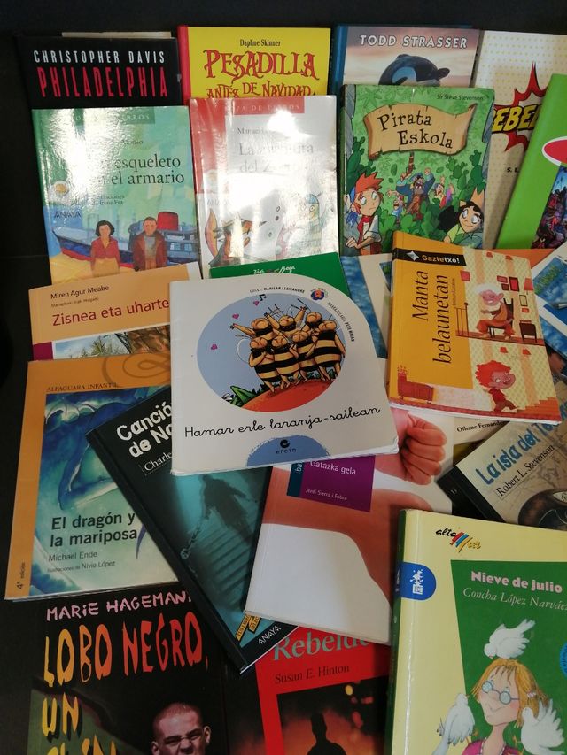 LIBROS DE LECTURA (VARIOS)