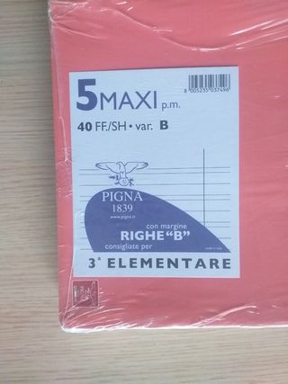 Quadernoni terza elementare Pigna.