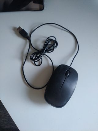 Ratón