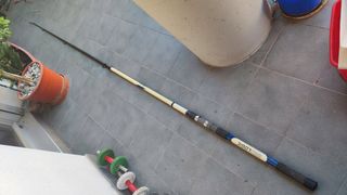 caña para la pesca del siluro de 3,50 mt