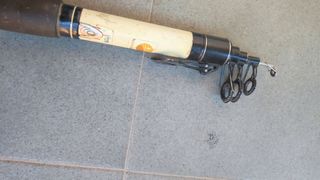 caña para la pesca del siluro de 3,50 mt