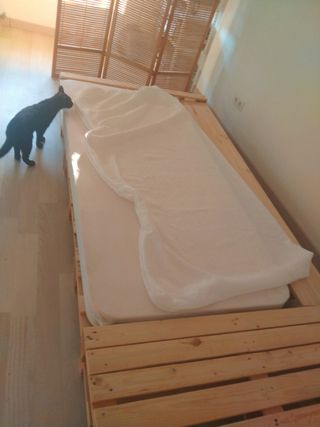 Cama palets + colchón + dos fundas.