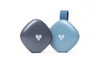 Findster  GPS perro Localizador