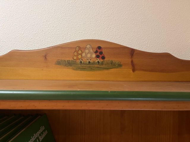 Libreria+tavolo per bambini con 4 sedie Gnomos