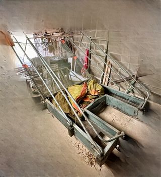 Vano ,recolector de almendras y olivas.