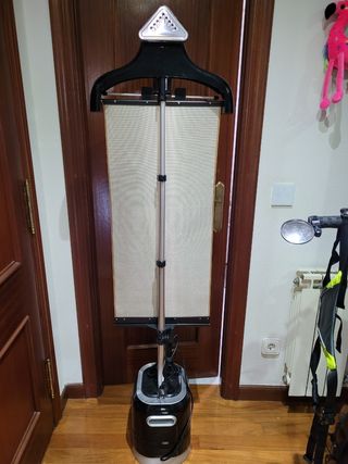 Plancha de vapor vertical