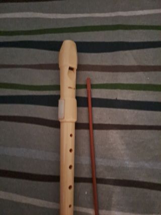 flauta escolar