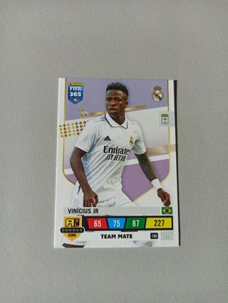 Carta Vini Jr FIFA 365 2023