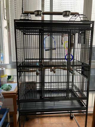 Jaula Loro grande