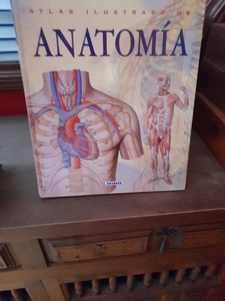 atlas anatomia