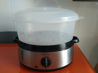 vaporera cecotec