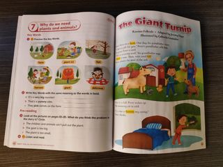 Primary Reading anthologies 1