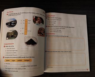 Primary Reading anthologies 1
