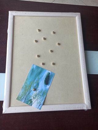 lote tablon de anuncios magnético 2 colores