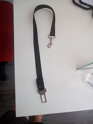 Cinturón de seguridad de perro