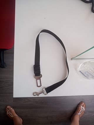 Cinturón de seguridad de perro