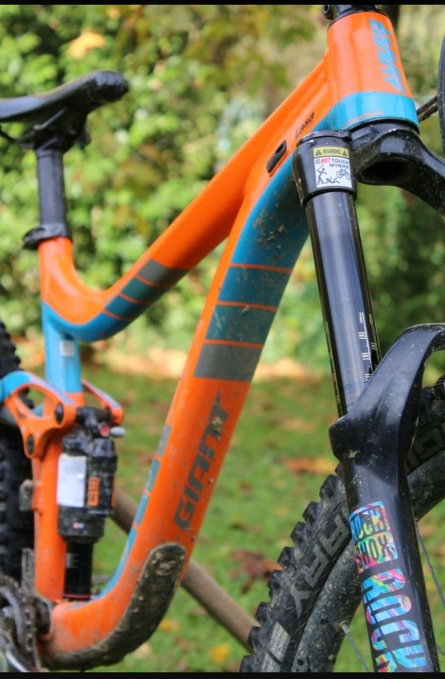 GIANT REIGN 1.5 LTD 2016