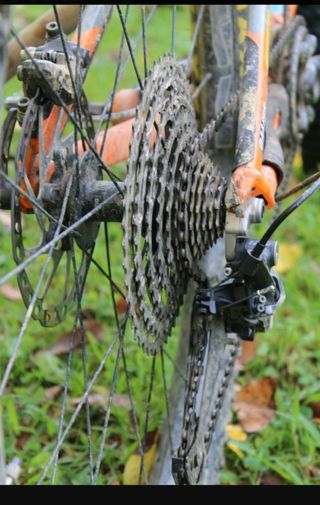 GIANT REIGN 1.5 LTD 2016