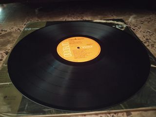 Vinilo Manzanita