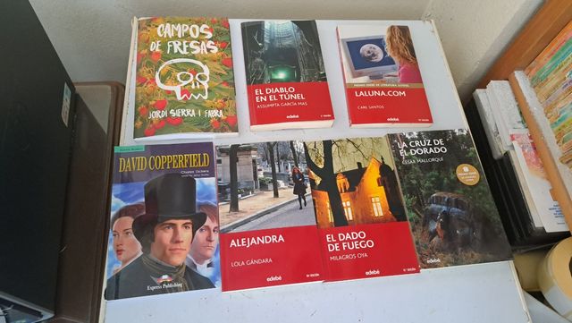 Libros de lectura para la ESO