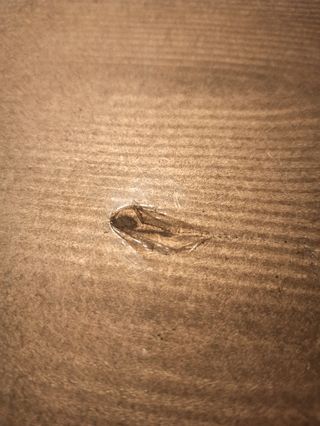 liquidación  cuadro nuevo