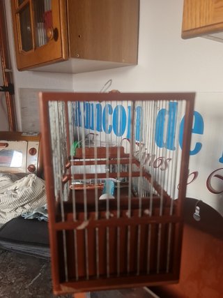 Jaula pajaro