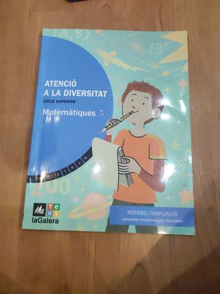 atencio a la diversitat matematicas