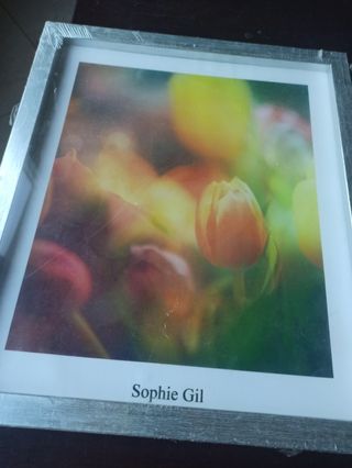 2 cuadros nuevos Sophie Gil