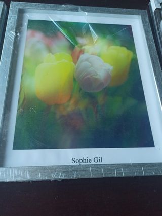 2 cuadros nuevos Sophie Gil