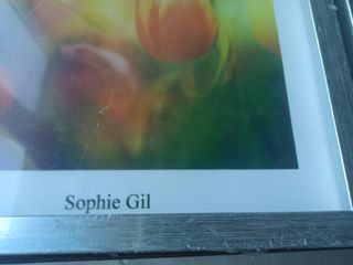 2 cuadros nuevos Sophie Gil