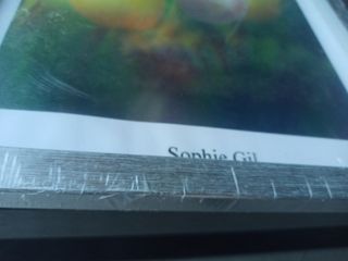 2 cuadros nuevos Sophie Gil