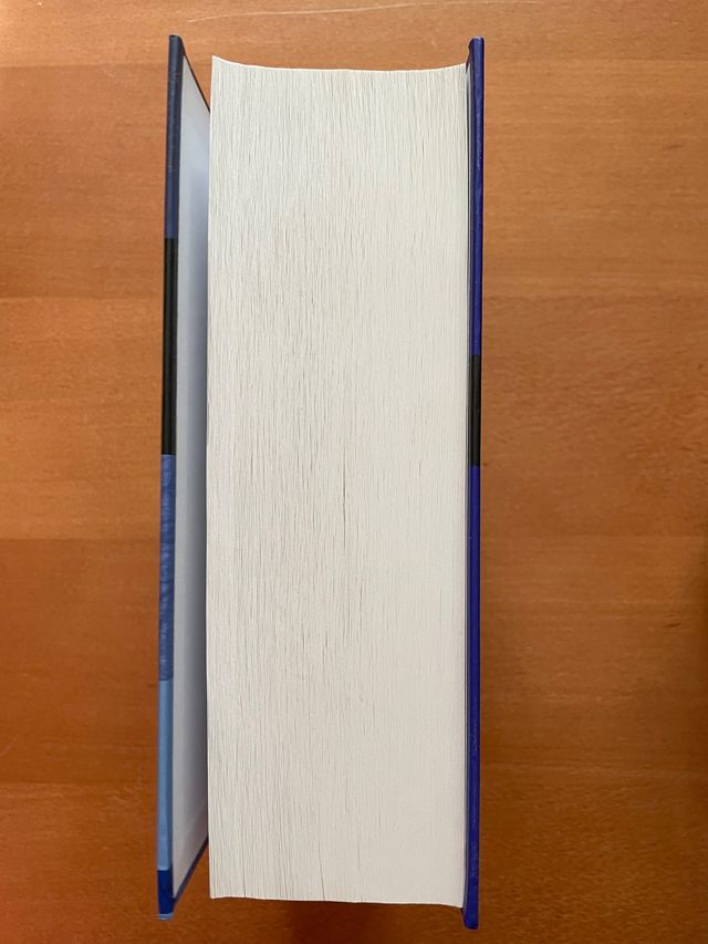 Diccionario esencial Santillana nuevo