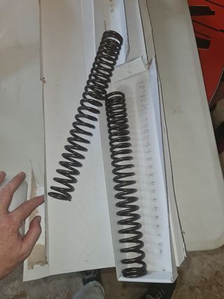 Muelles suspensión delantera Harley Dyna