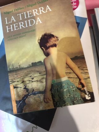 Libros de lectura escolares ingles lee