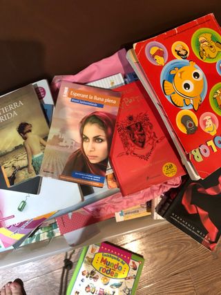 Libros de lectura escolares ingles lee