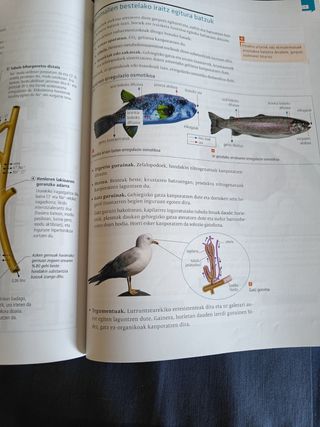 Biologia eta geologia batxilergoa 1