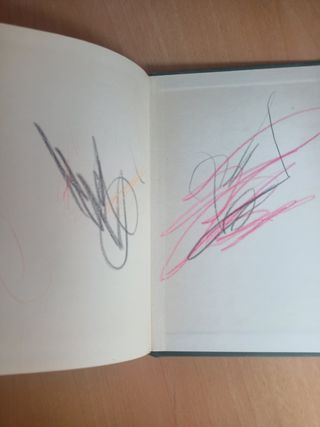 Libro Nacida inocente