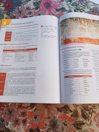LIBRO LATÍN 4º ESO
